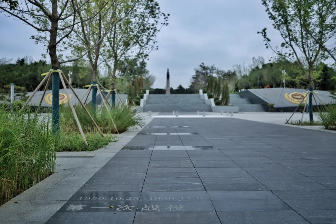 英魂归故里，浩气满乾坤|第十二批在韩志愿军烈士遗骸安葬仪式在沈阳隆重举行-36