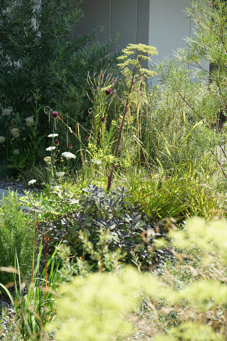 Berchtold.Lenzin Landschaftsarchitekten丨Wohnüberbauung Bachgraben丨瑞士-13