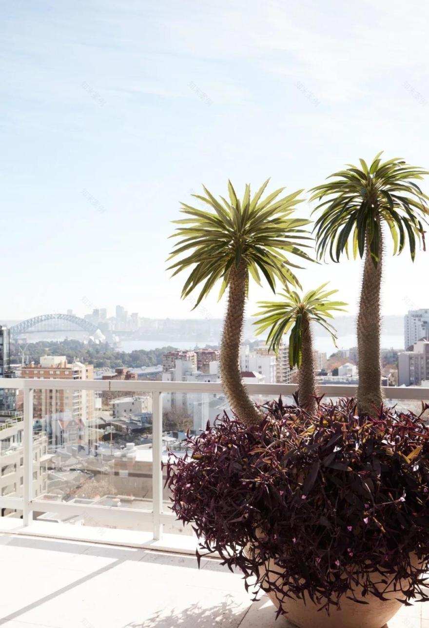 DREAM WEAVER 顶层公寓设计丨澳大利亚悉尼丨悉尼 YSG 室内设计工作室-55