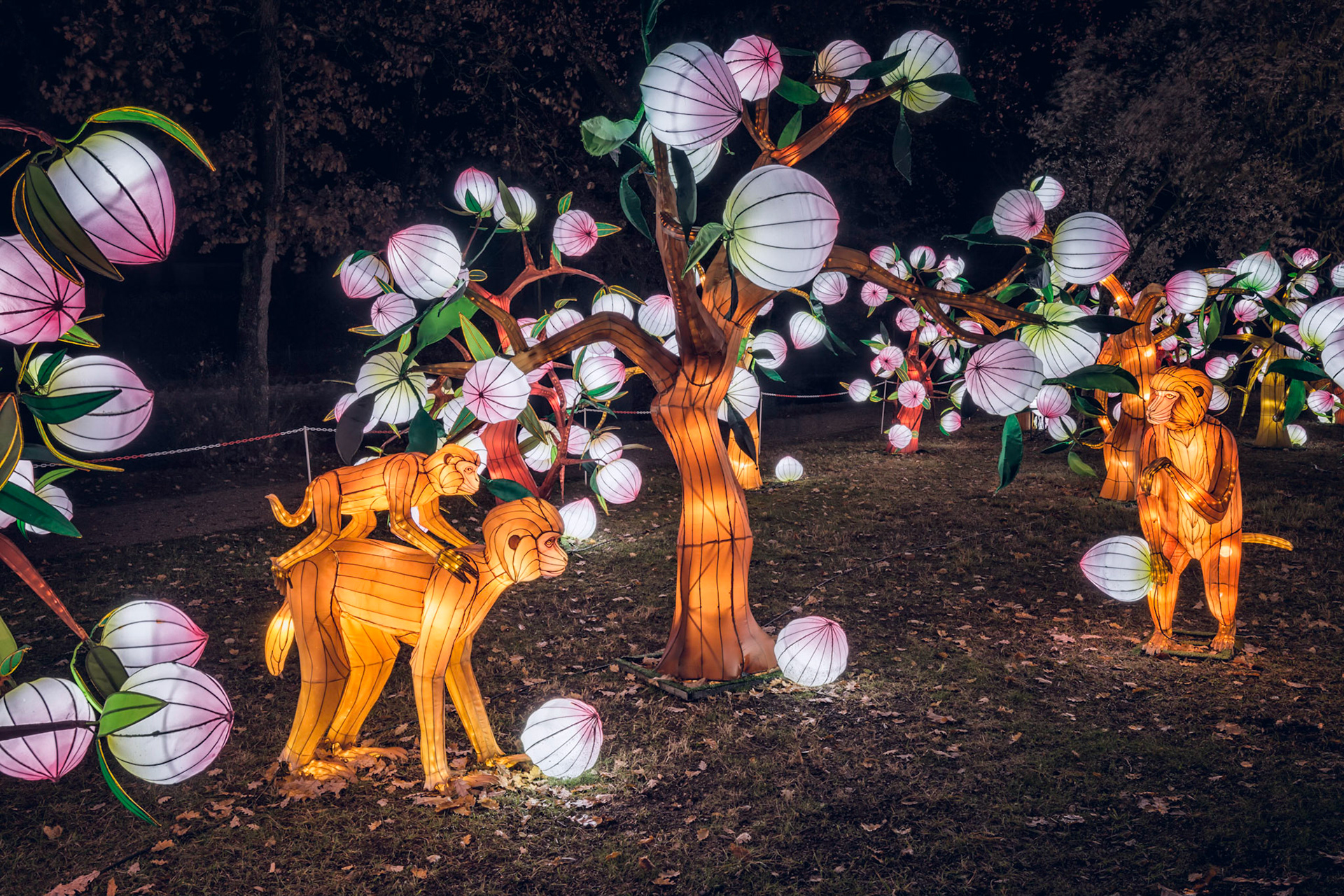 Festival Lanterne Gaillac 2017-13