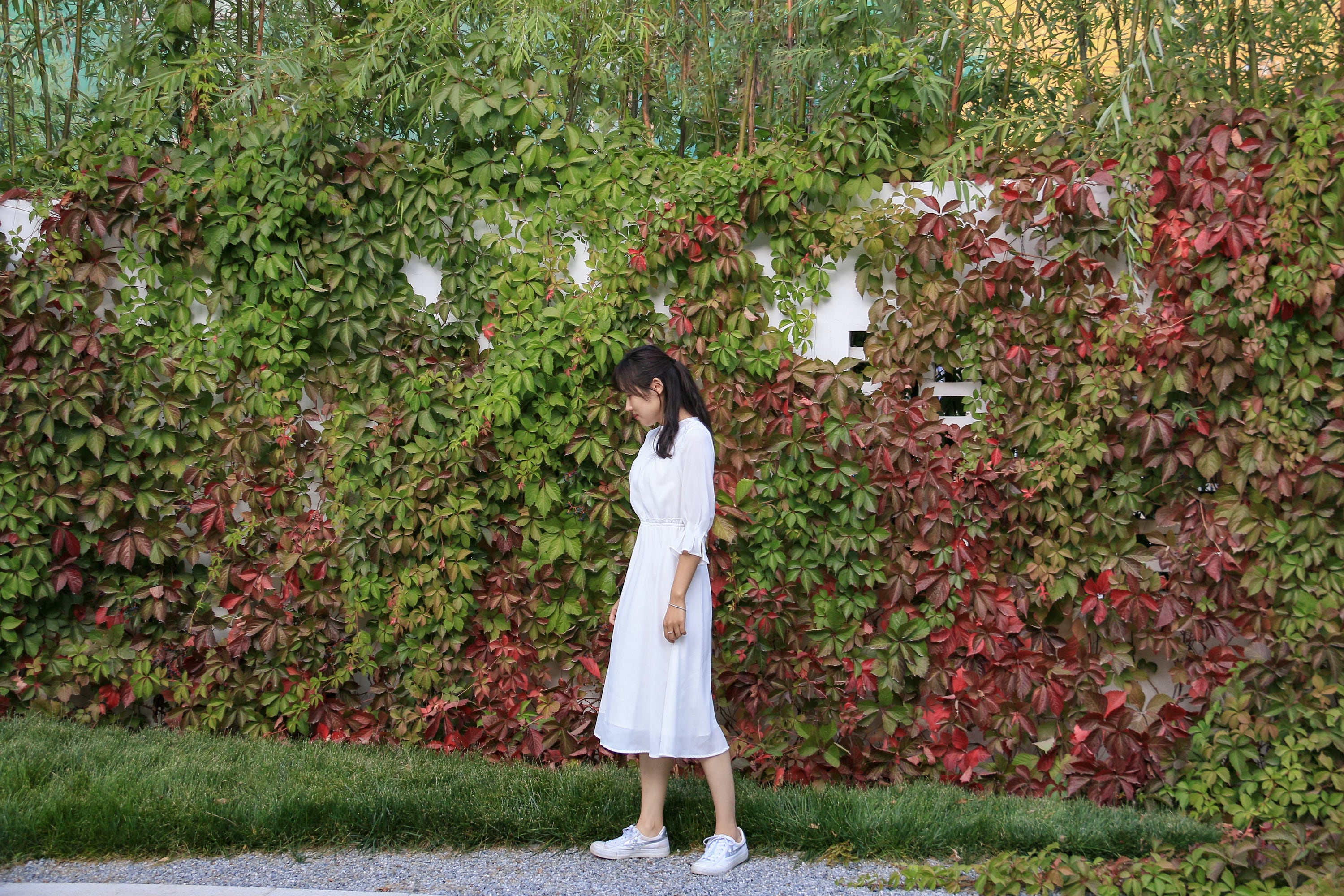 阿那亚雾灵山停云隐庐与北京阳光上东总部丨中国北京丨致舍(北京)景观规划设计事务所-45