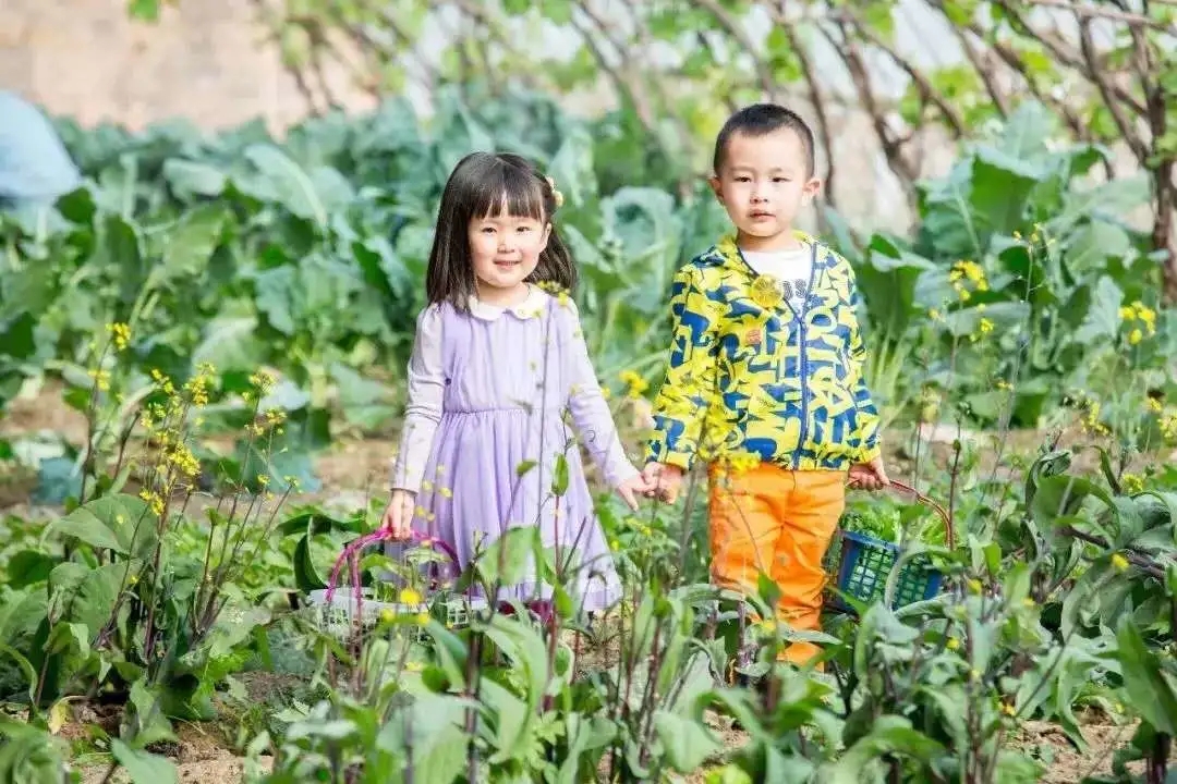北京圣露庄园整体运营管理项目丨中国北京丨奥雅设计-9