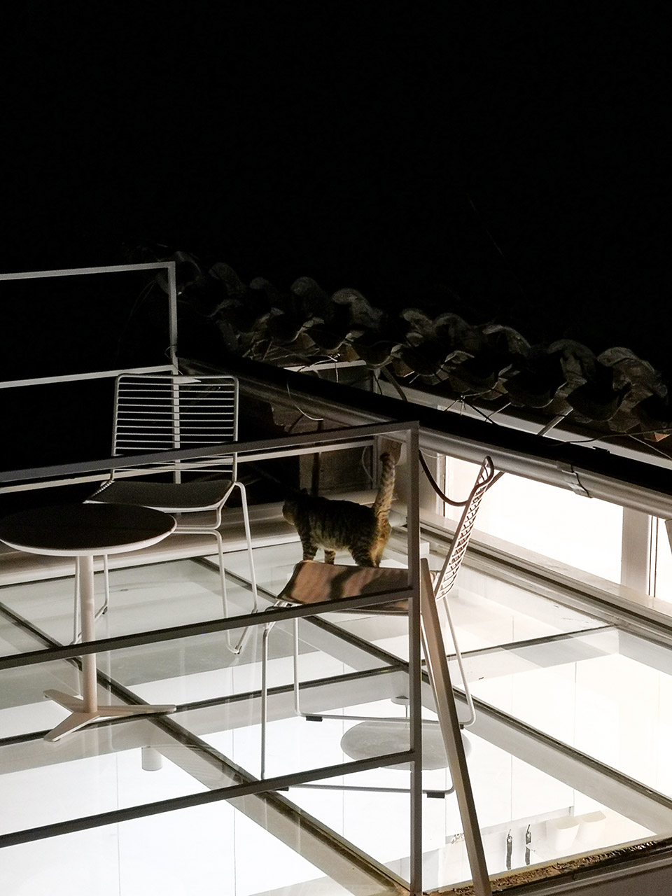 透明胡同3号，北京 / 大观建筑设计-37