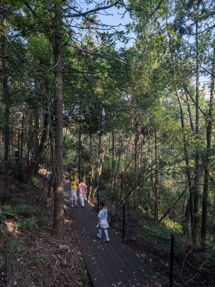 傍山麓野 | 长沙麓隐青竹湖-93