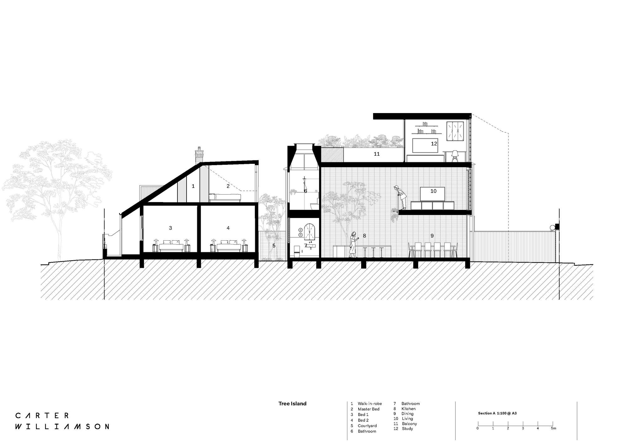 树岛屋丨澳大利亚悉尼丨Carter Williamson Architects-22