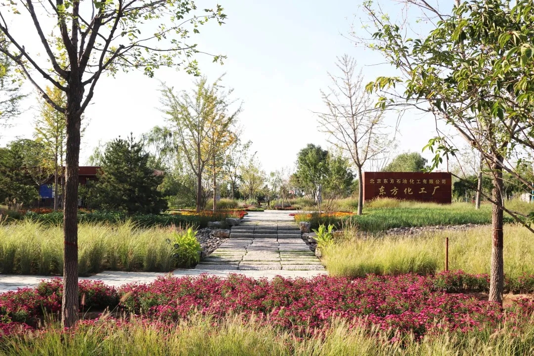 通州城市绿心森林公园丨中国北京丨北京建院-19