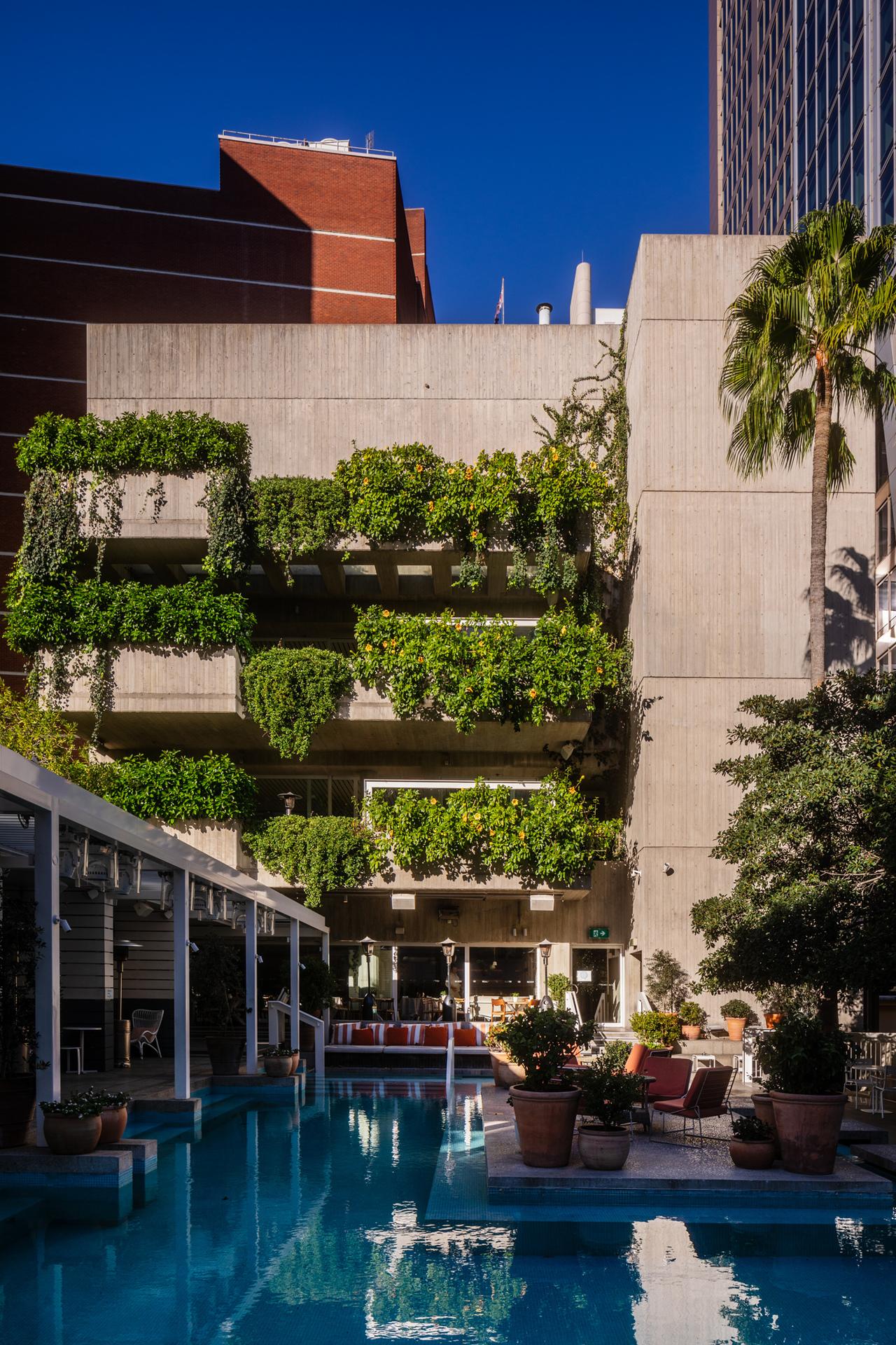 澳大利亚 Ivy酒店-15