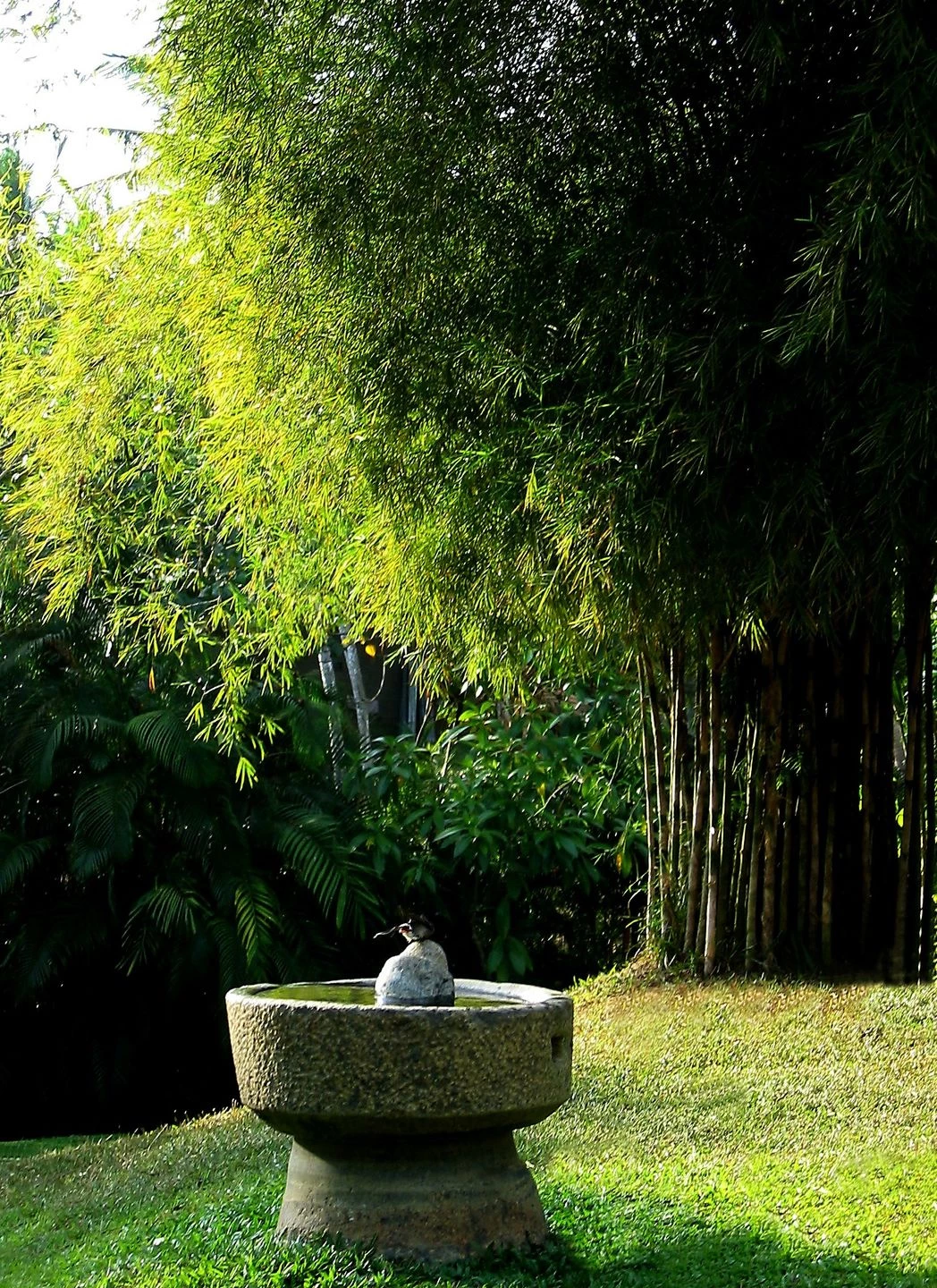 斯里兰卡“荆棘”庄园-35