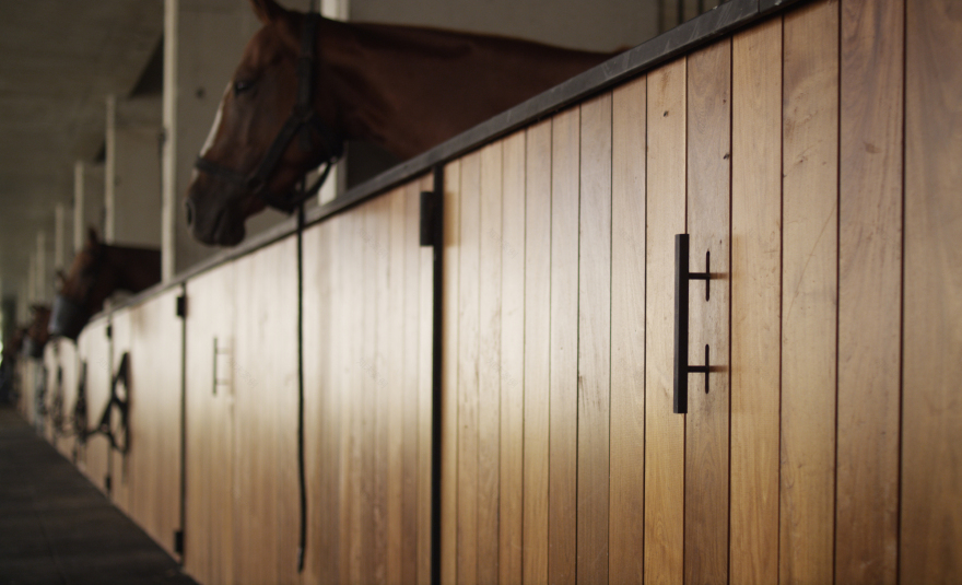 菲格拉斯马球马厩-36