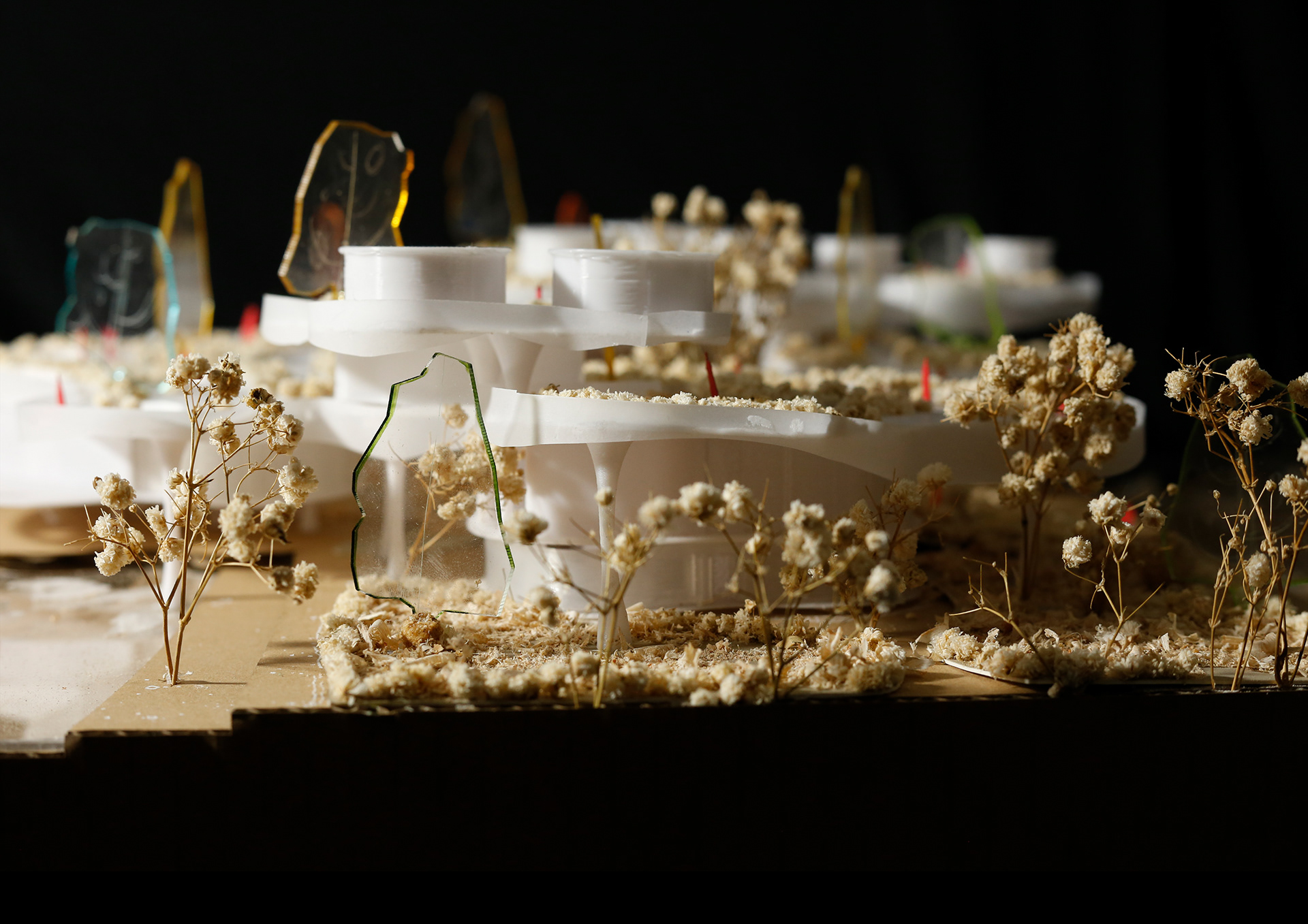 EXHIBITION CENTERS & PROMOTION OF AGRICULTURAL PRODUCTS-15