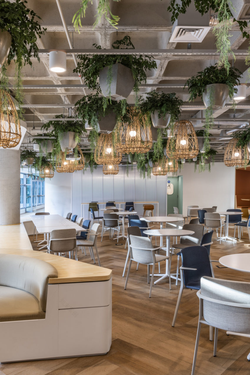 Pita Arquitetura give Latin Americas largest travel agent, Decolar, a head office transformation 皮塔阿奎图拉给拉丁美洲最大的旅行社-2