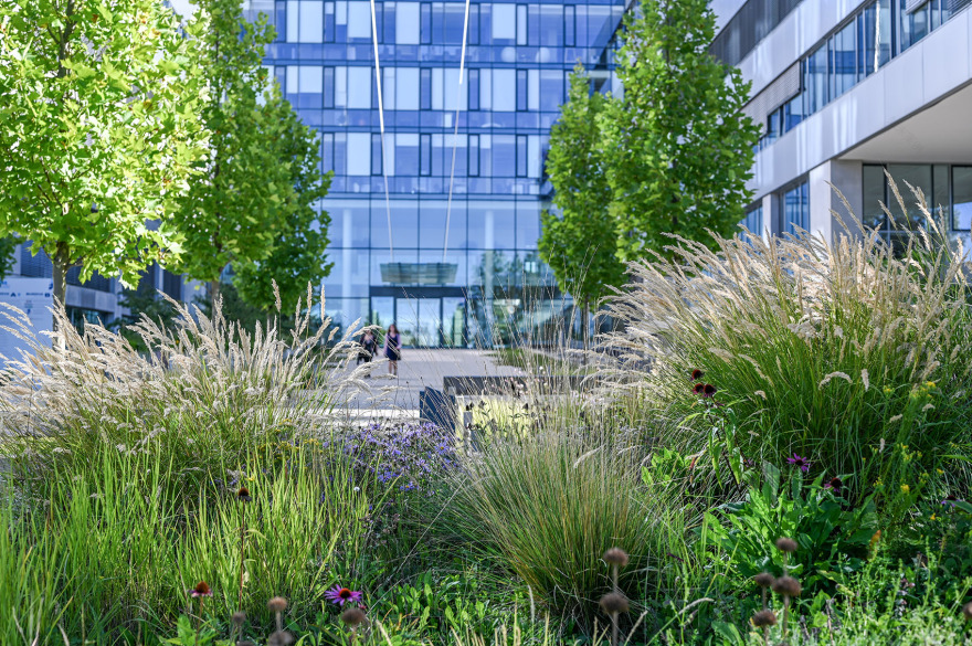 Kavčí Hory 办公园区景观丨意大利布拉丨Atelier Partero-4