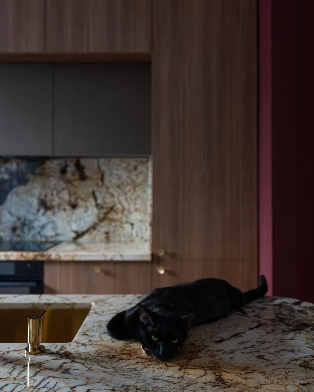 Chic 公寓，罗马尼亚布加勒斯特-35