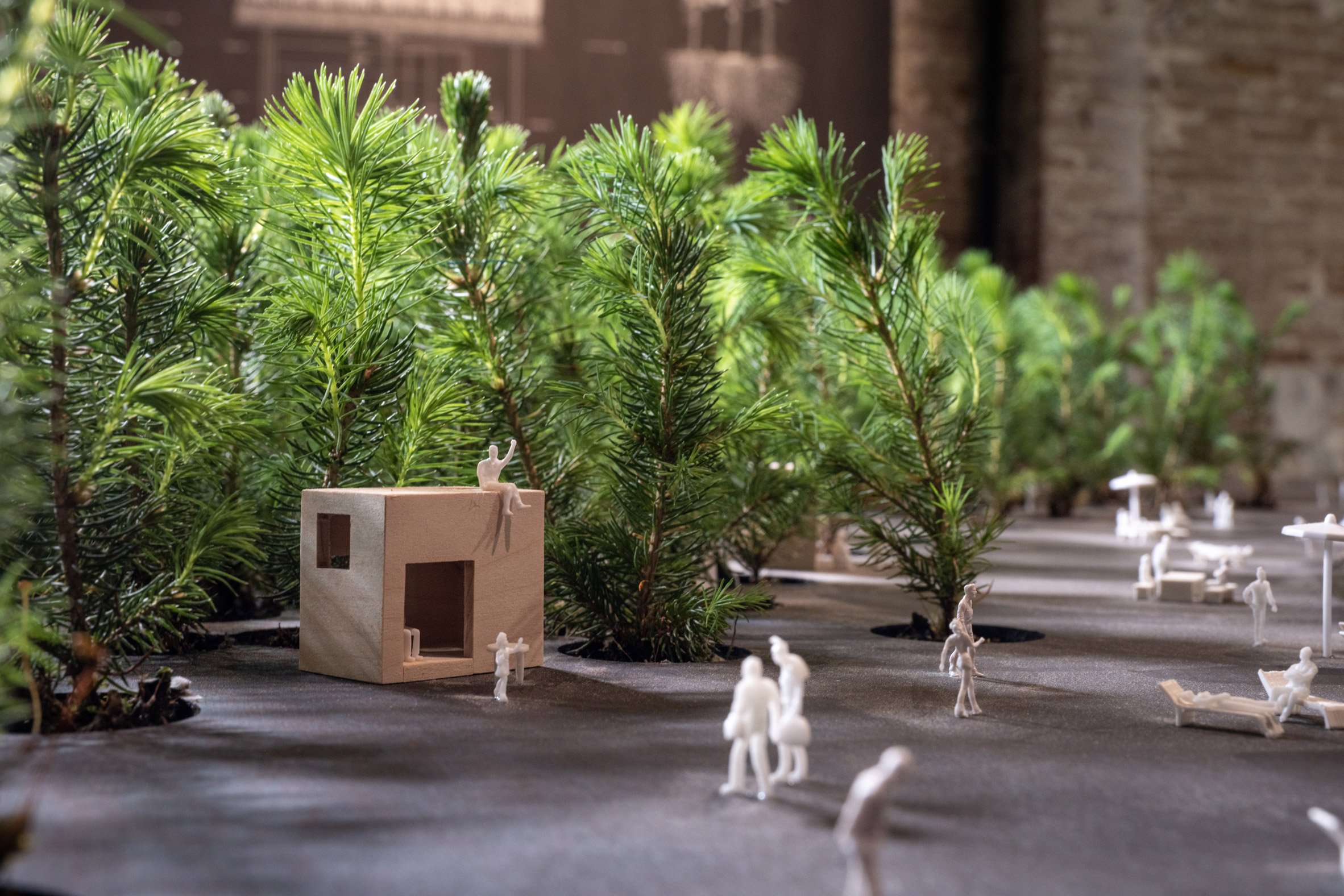 丹麦建筑工作室 EFFEKT 在威尼斯建筑双年展上展示“从自我到生态”的绿色理念-23