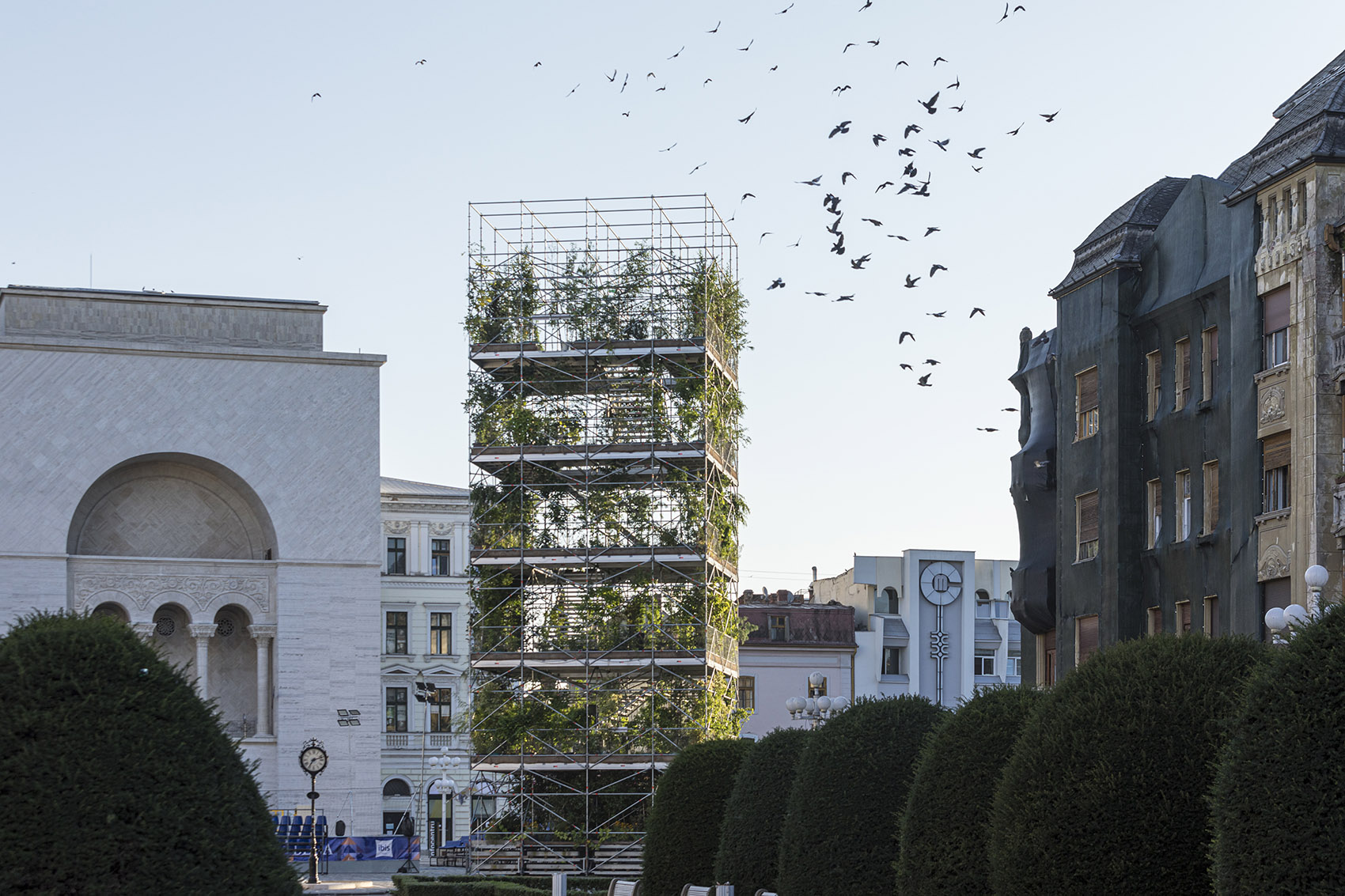 绿色培育花园 · 蒂米什瓦拉的1306棵植物丨罗马尼亚蒂米什瓦拉丨MAIO事务所-16