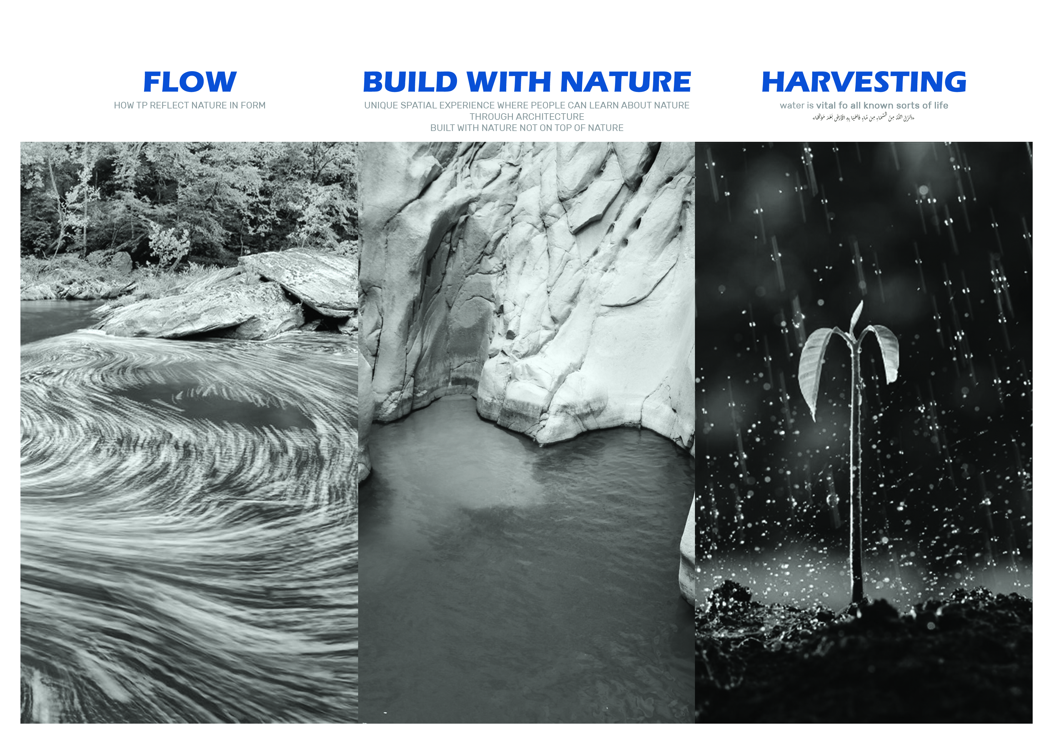 水利中心丨埃及丨DR:MOSTAFA ELZENI-11