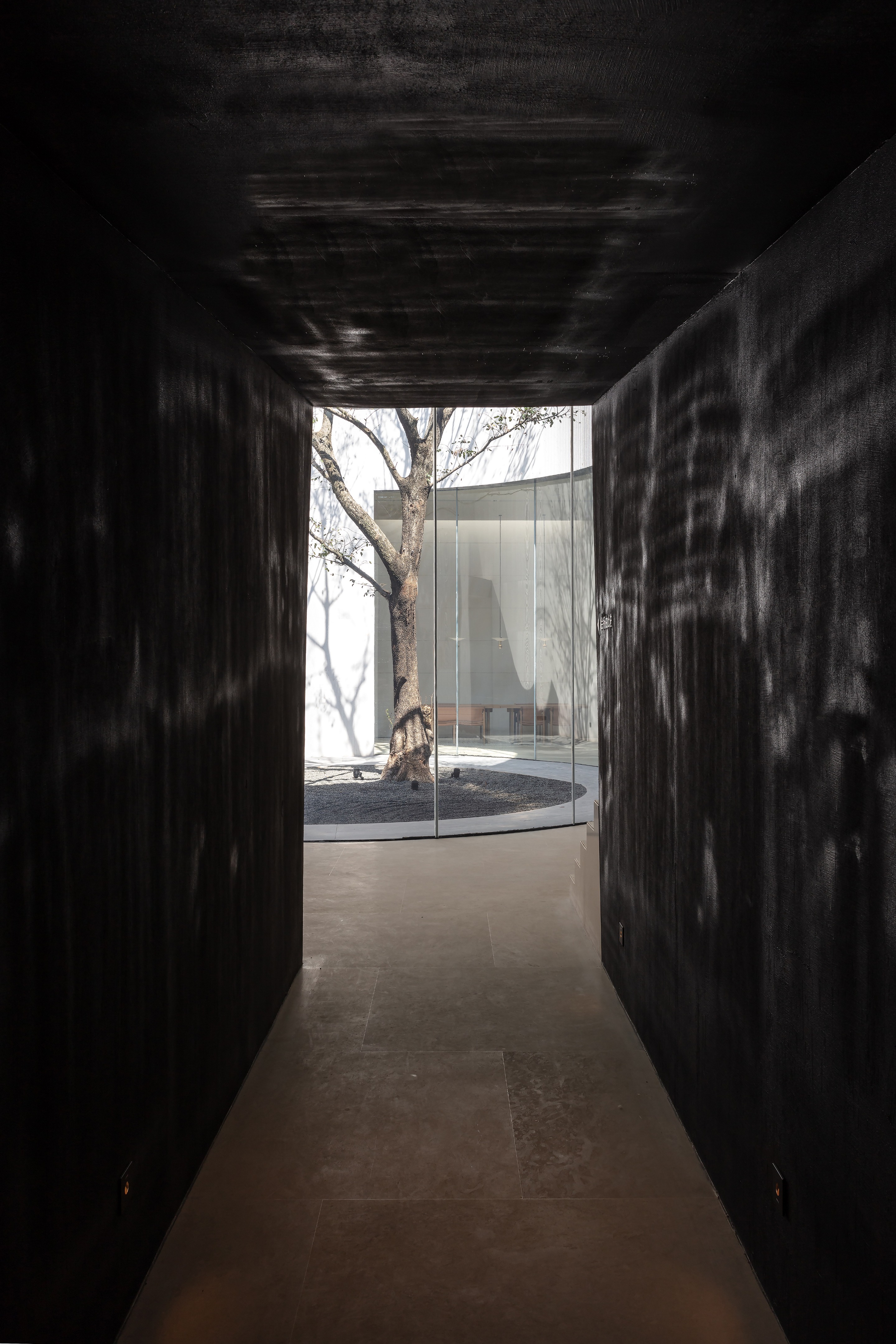 湖畔茶香,寻觅世外桃源-58