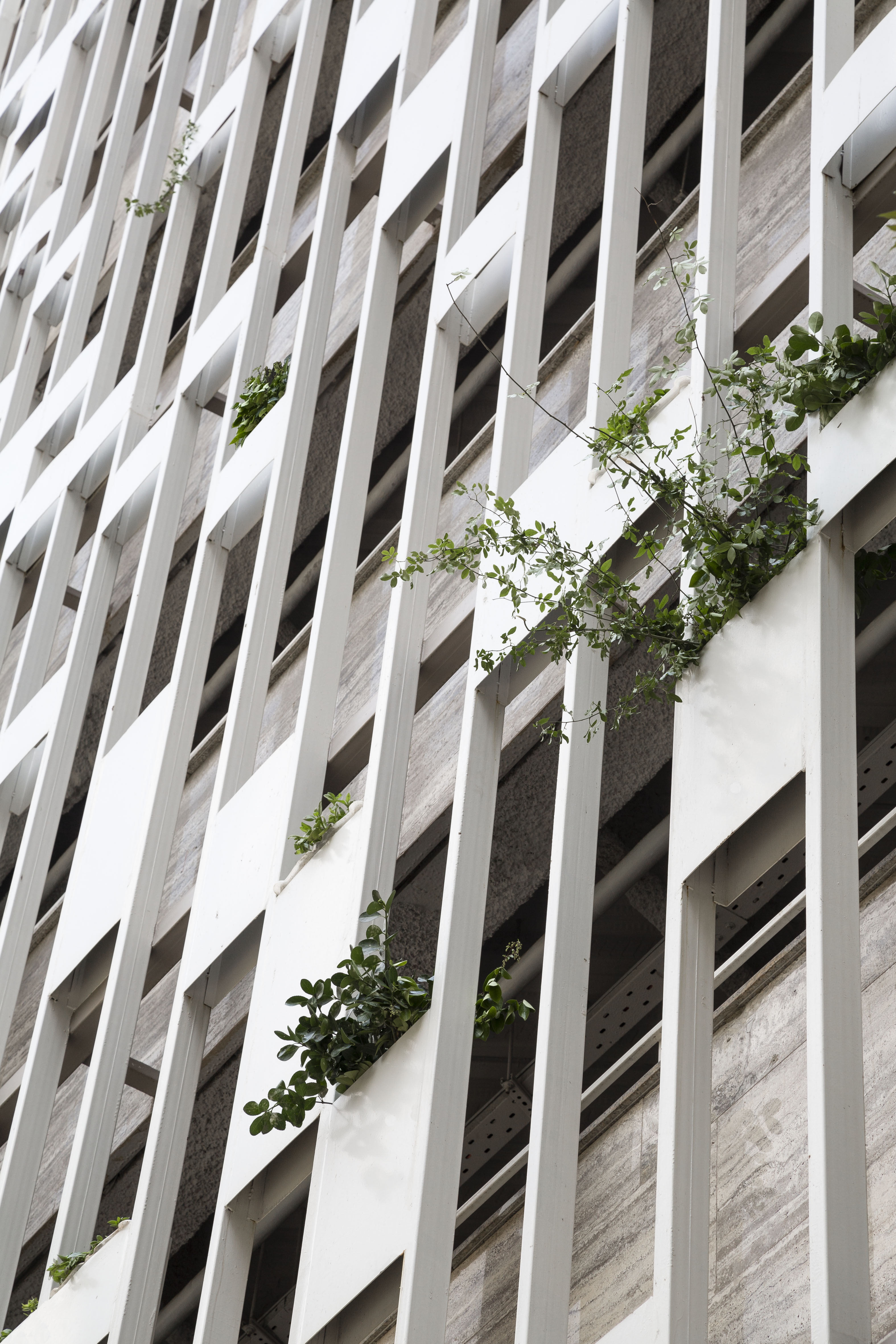 新波建筑 · 伊朗 Tehran 停车场及会议厅扩建项目-24