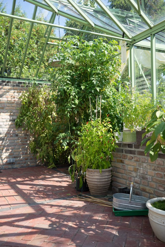 罗根专用泳池丨Raum & Design Strategie-19