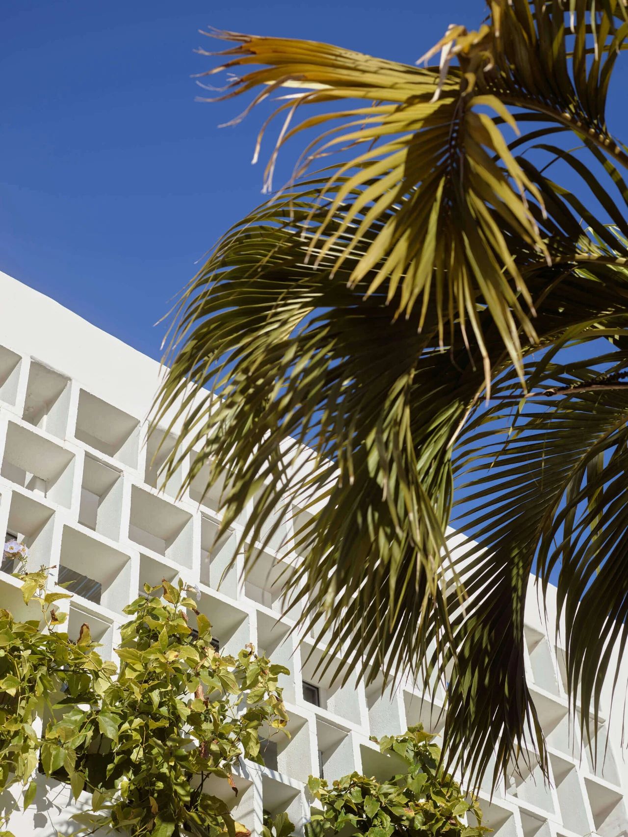 Stafford1000㎡的网红别墅，风格越看越喜欢-4