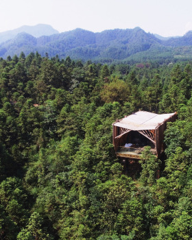 齐云山树影屋丨中国黄山