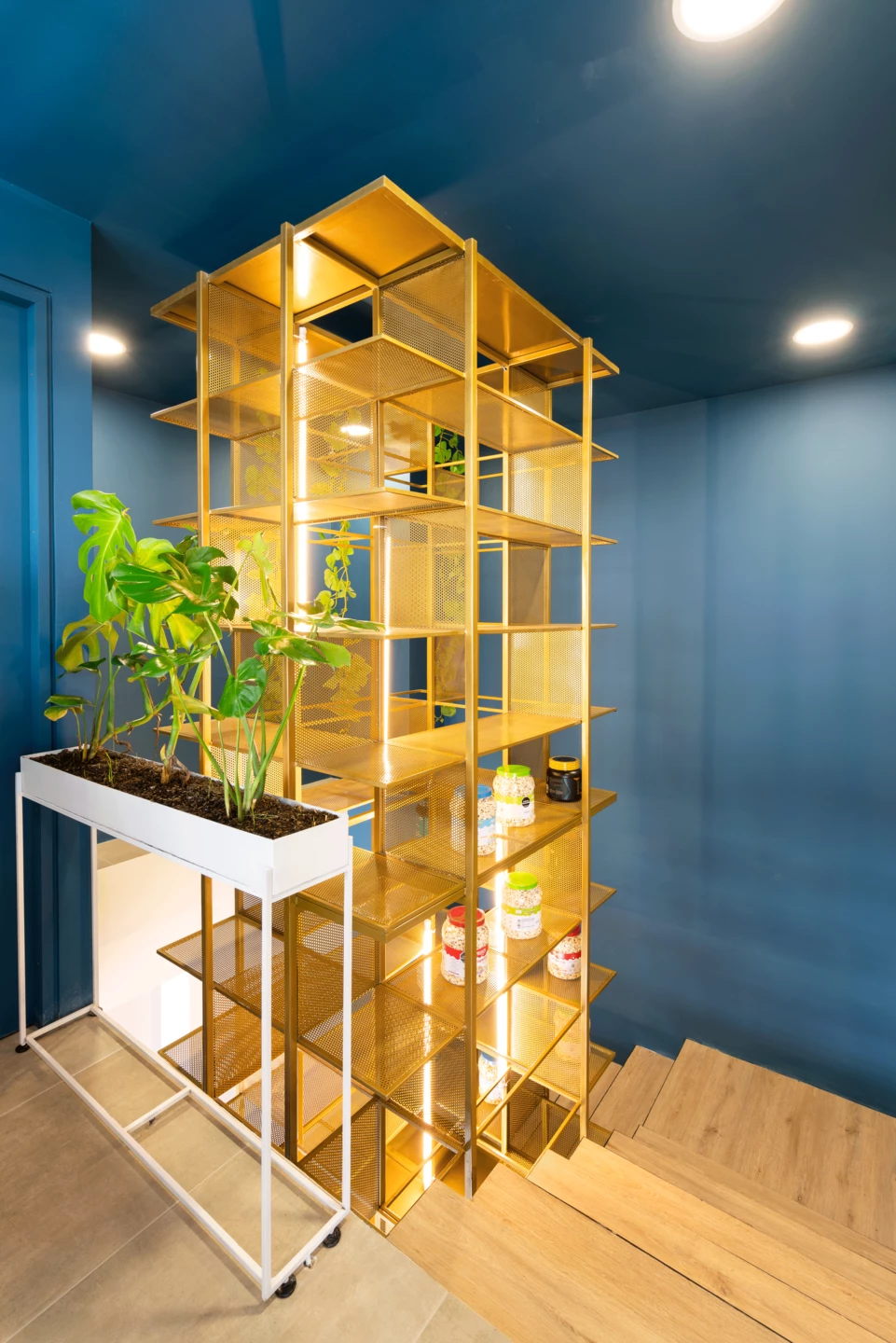 关键健康市场丨哥伦比亚-19