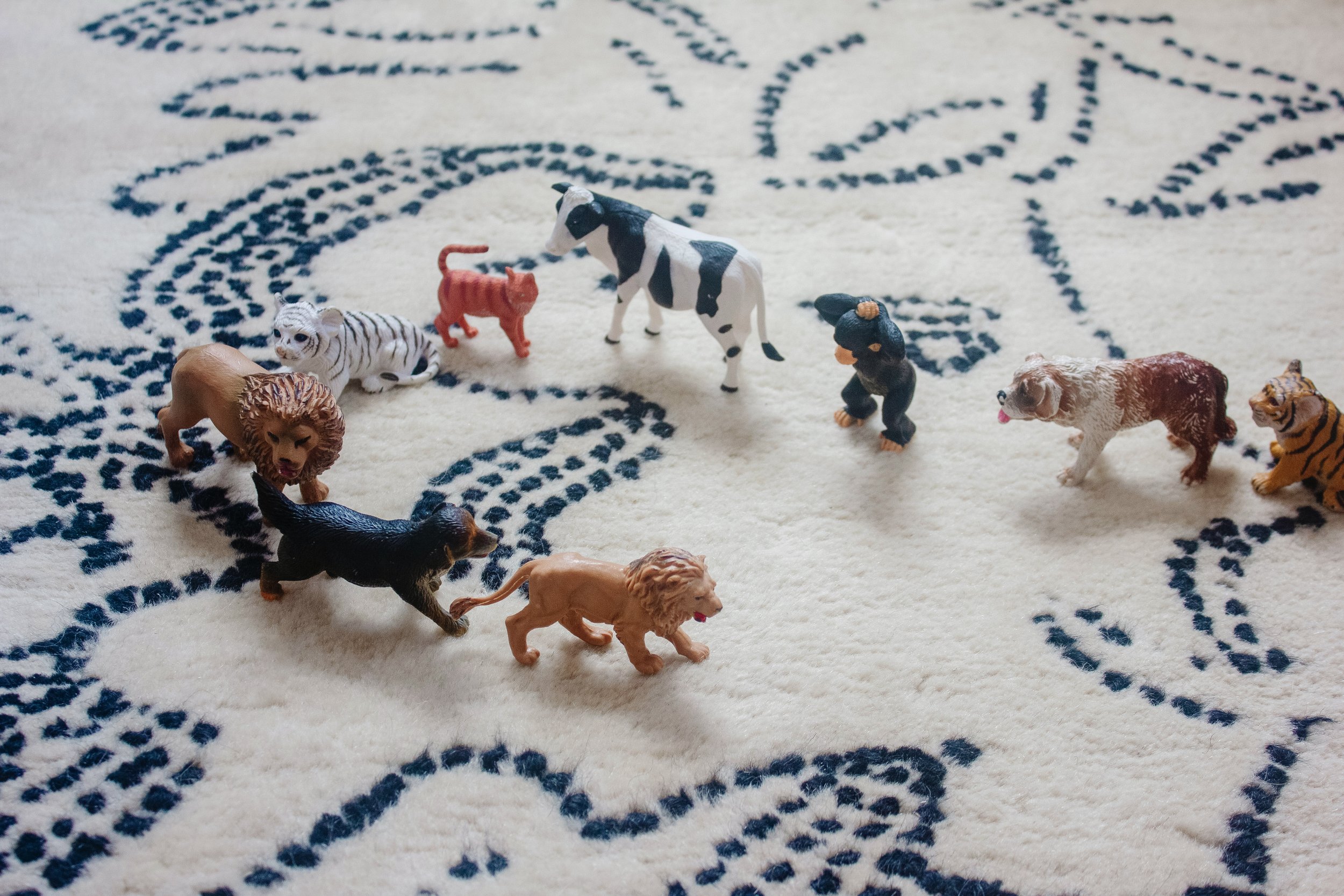 Frances房间室内设计与造型-9