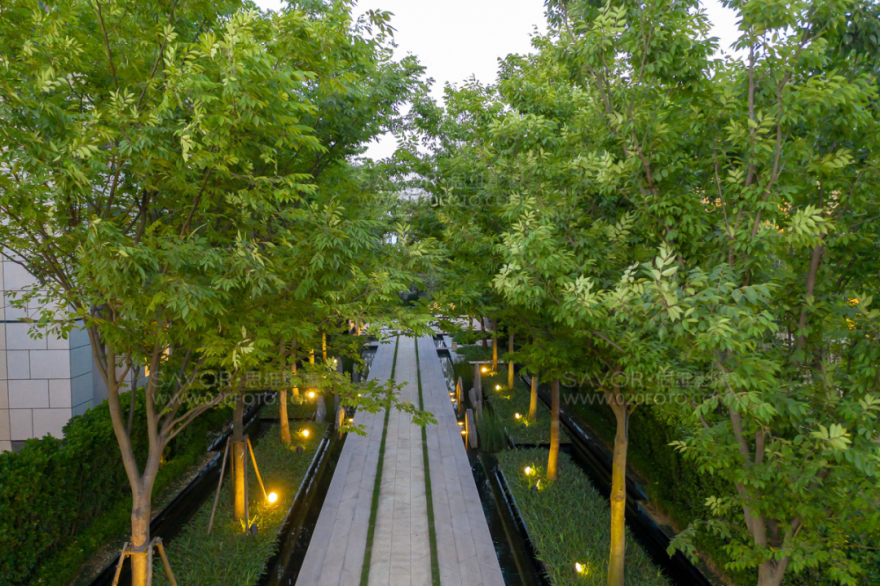 苏州鲁能泰山九号-63