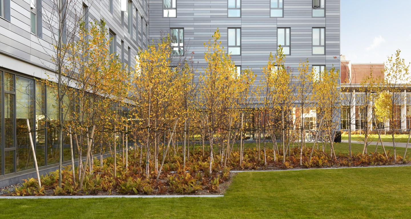 布里奇沃特州立大学住宅庭院景观丨意大利马萨丨Perkins+Will-8