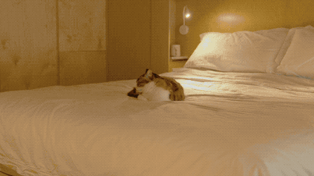 杭州夫妻买下40㎡破房，挖空地板造房中房，下班后在里面释放压力-61