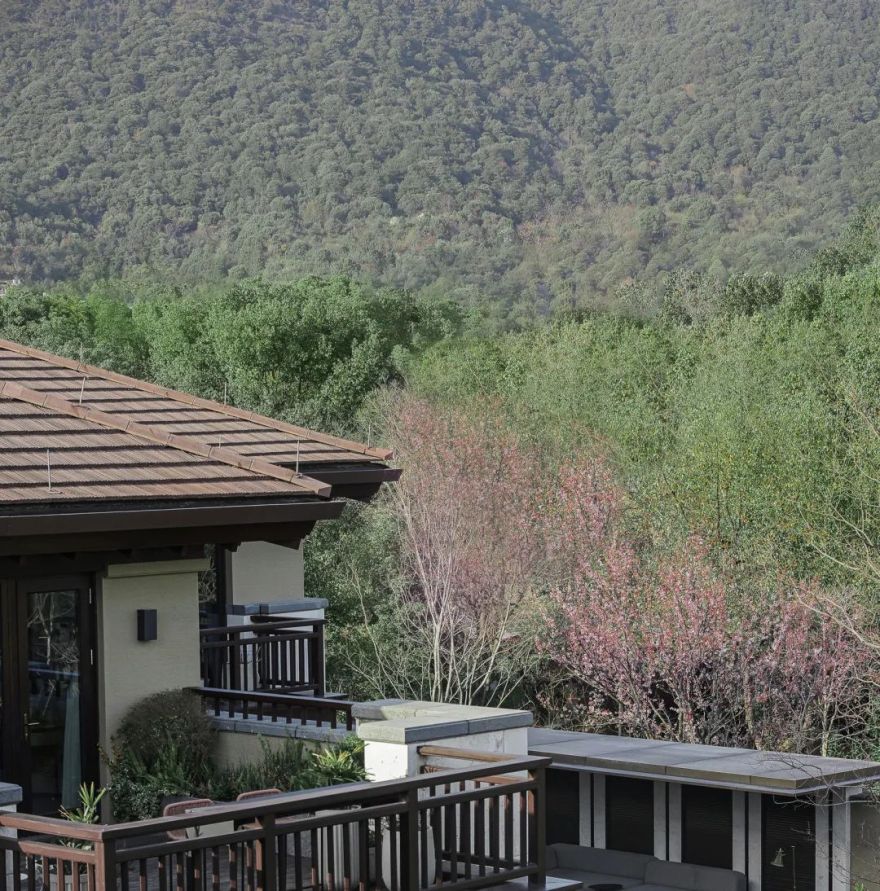 城市“兴交付”Vol.43|交付杭州的诗意@公望-34