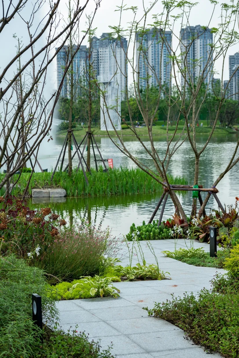 眉山桃园湖公园-14