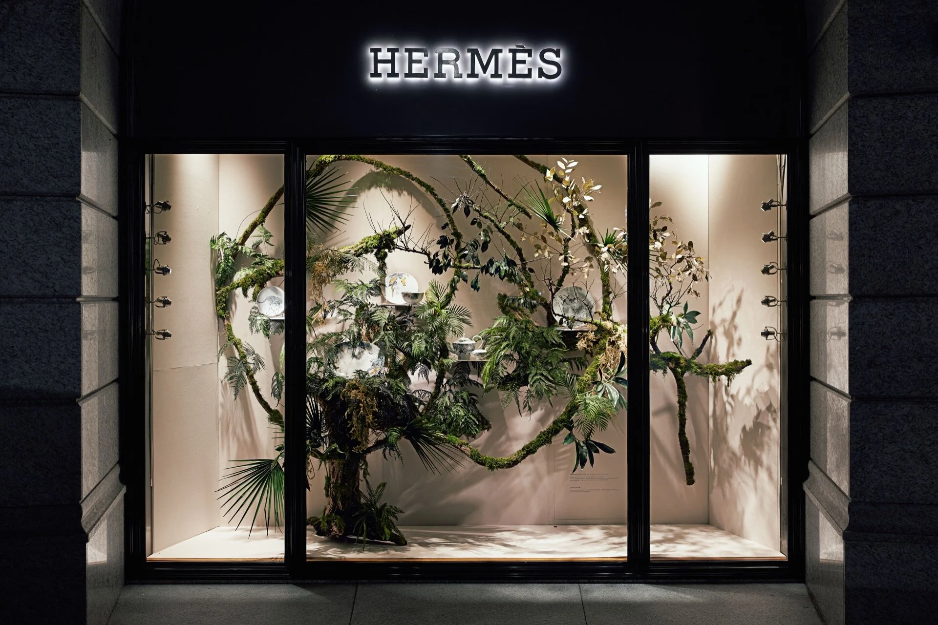 fUTUREMUSEUM - 質物霽畫 BOTANIPLAN VON LEE CHI -4