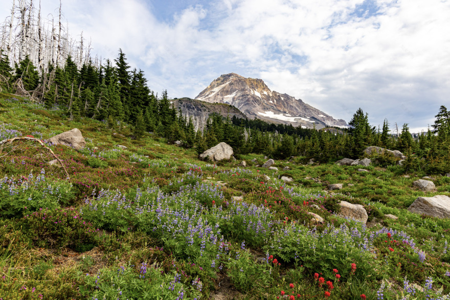 挑战林线步道丨美国俄勒冈丨无相关信息-9