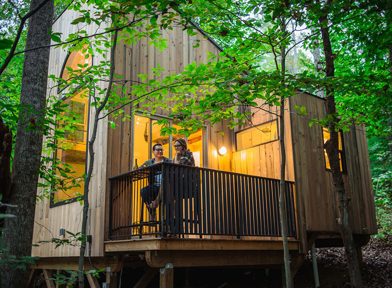 森林中的梦幻木屋，禅意与童趣并存-12