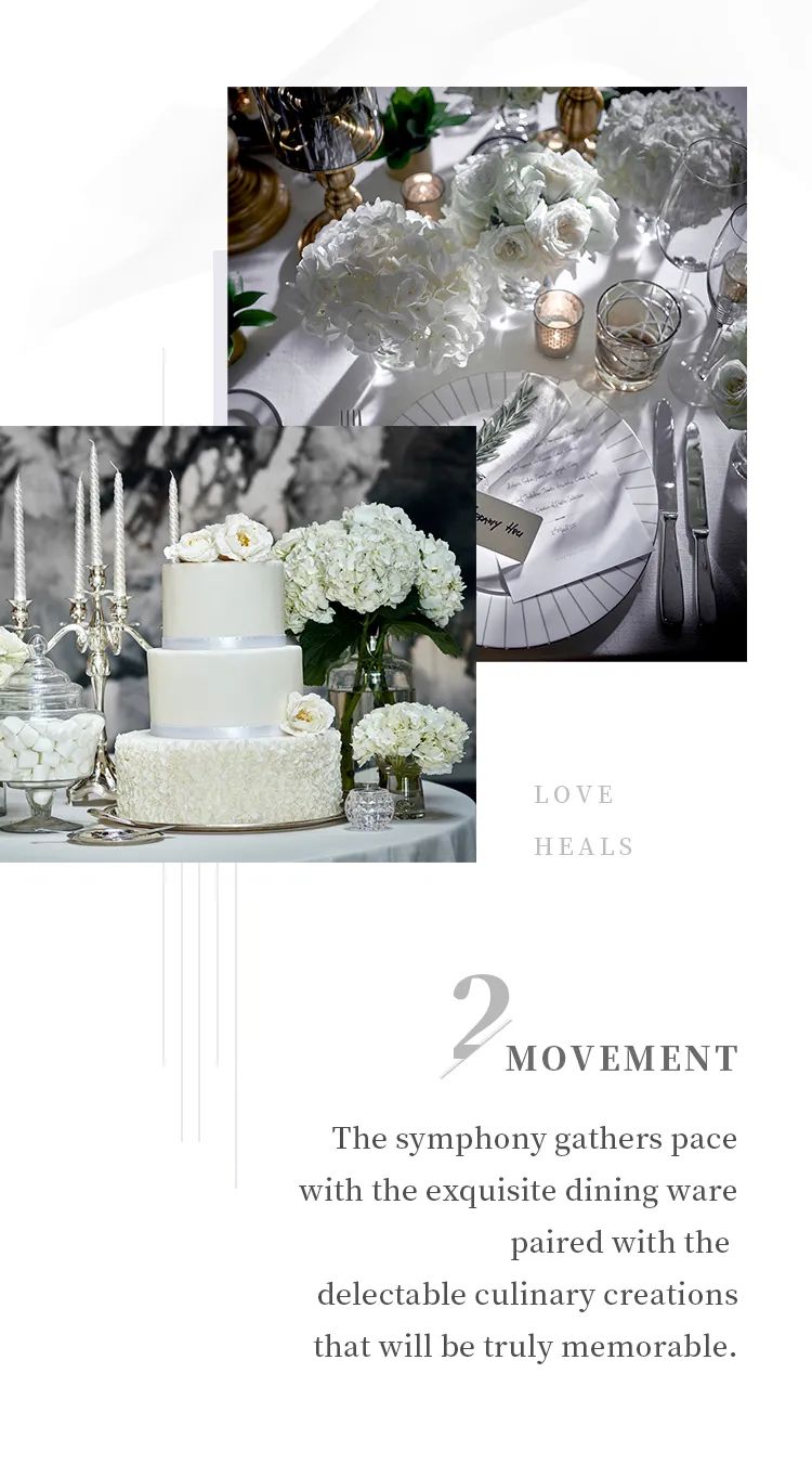 春风十里 爱囿瑰丽-4