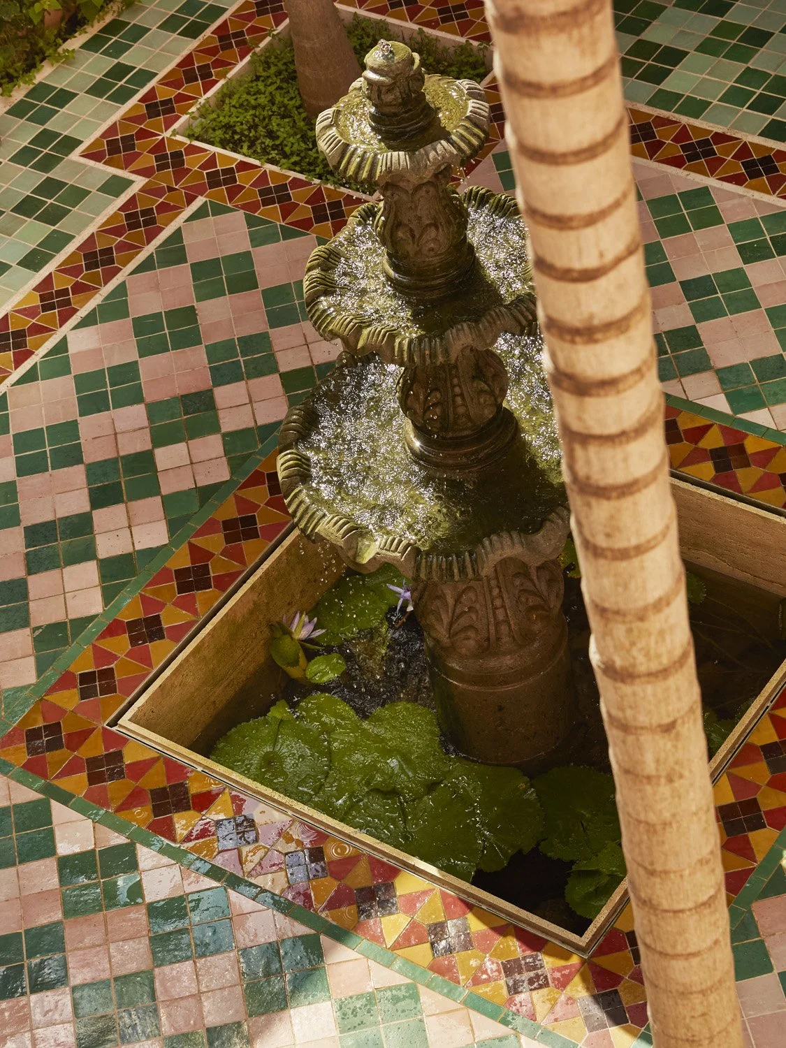 玫瑰宫
注:Casa Rosada 通常指位于阿根廷布宜诺斯艾利斯的总统府,因其建筑外观多为粉色(玫瑰色)而被称为玫瑰宫 丨墨西哥-58