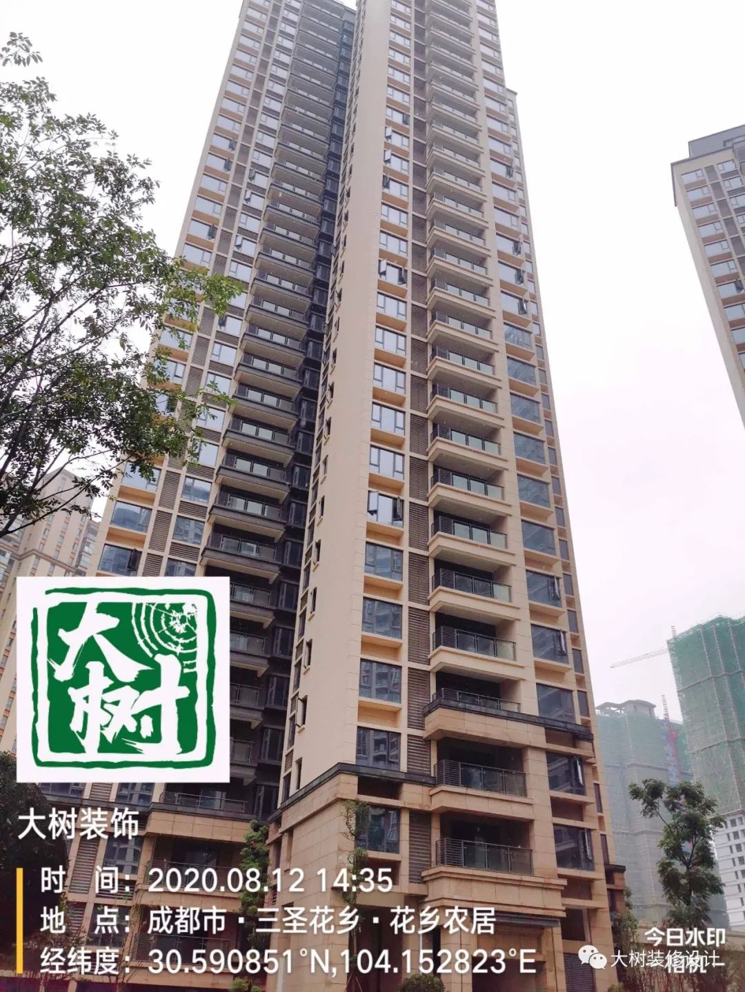 人居东城花汇小区绿化现场探秘-11