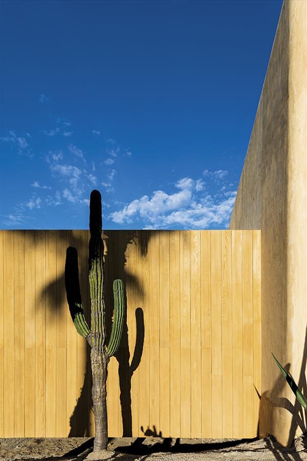 托罗美食酒吧-2