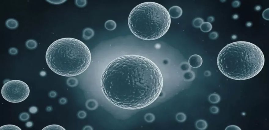 《无想之水 | 其大无外,其小无内》— DA!Architects 探索宇宙尺度-8