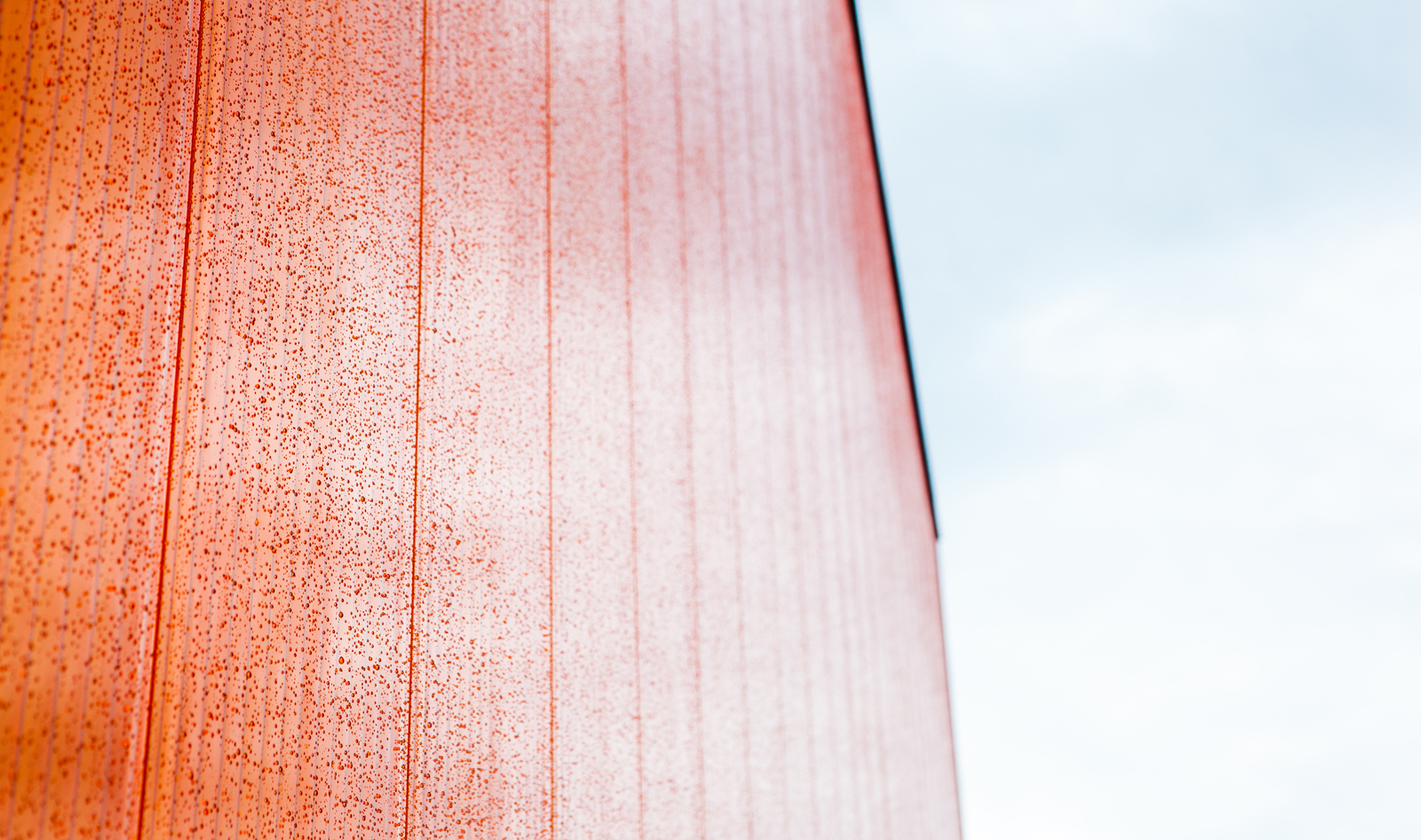 Prove· 公司新总部-22