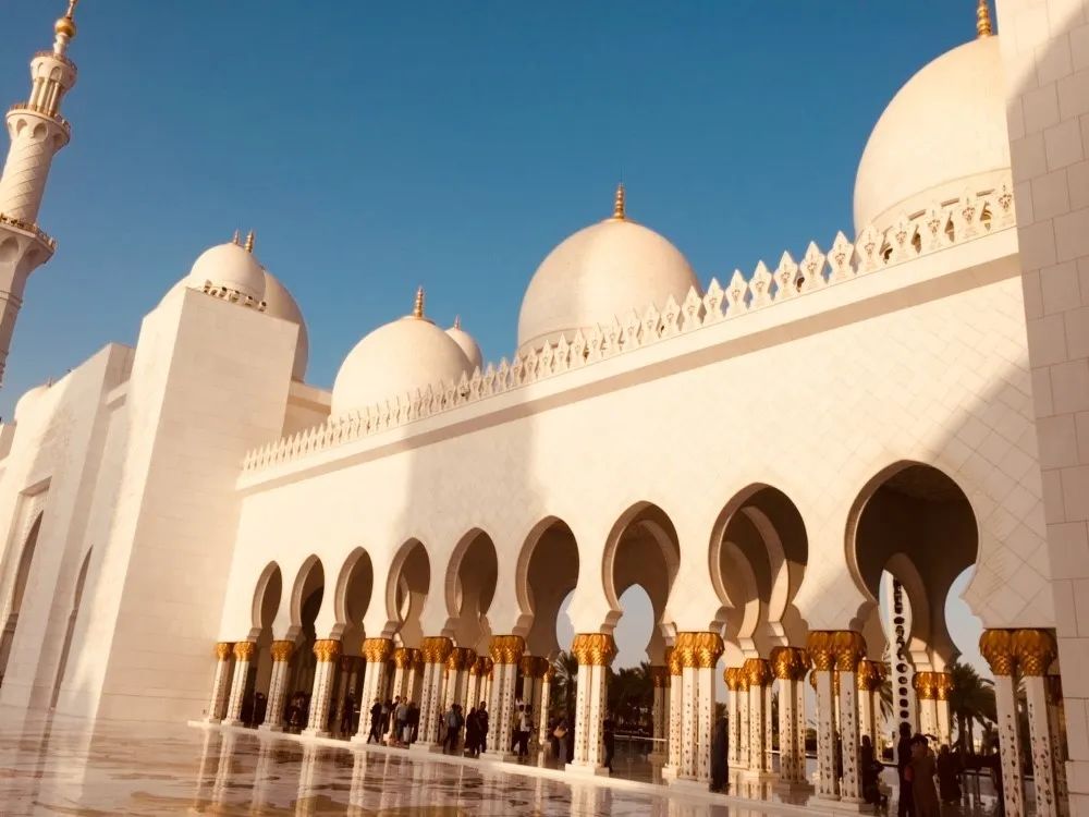 谢赫扎伊德清真寺 | 伊斯兰艺术与建筑的璀璨瑰宝-32