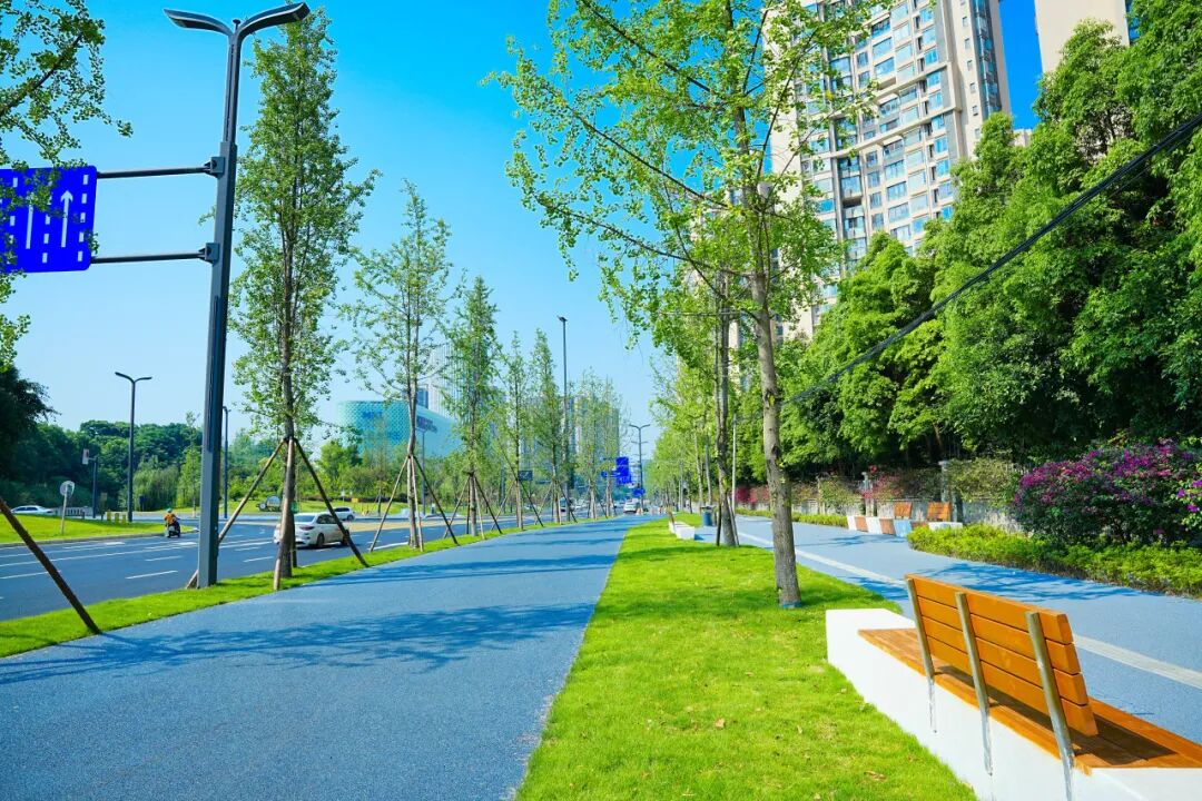 市市政交通院“城市动脉”两江路项目正式通车，一起来看有哪些变化？-47