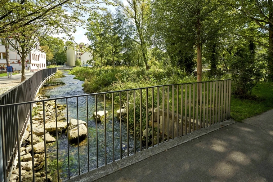 德国“帕德泉”半自然区历史遗址-16