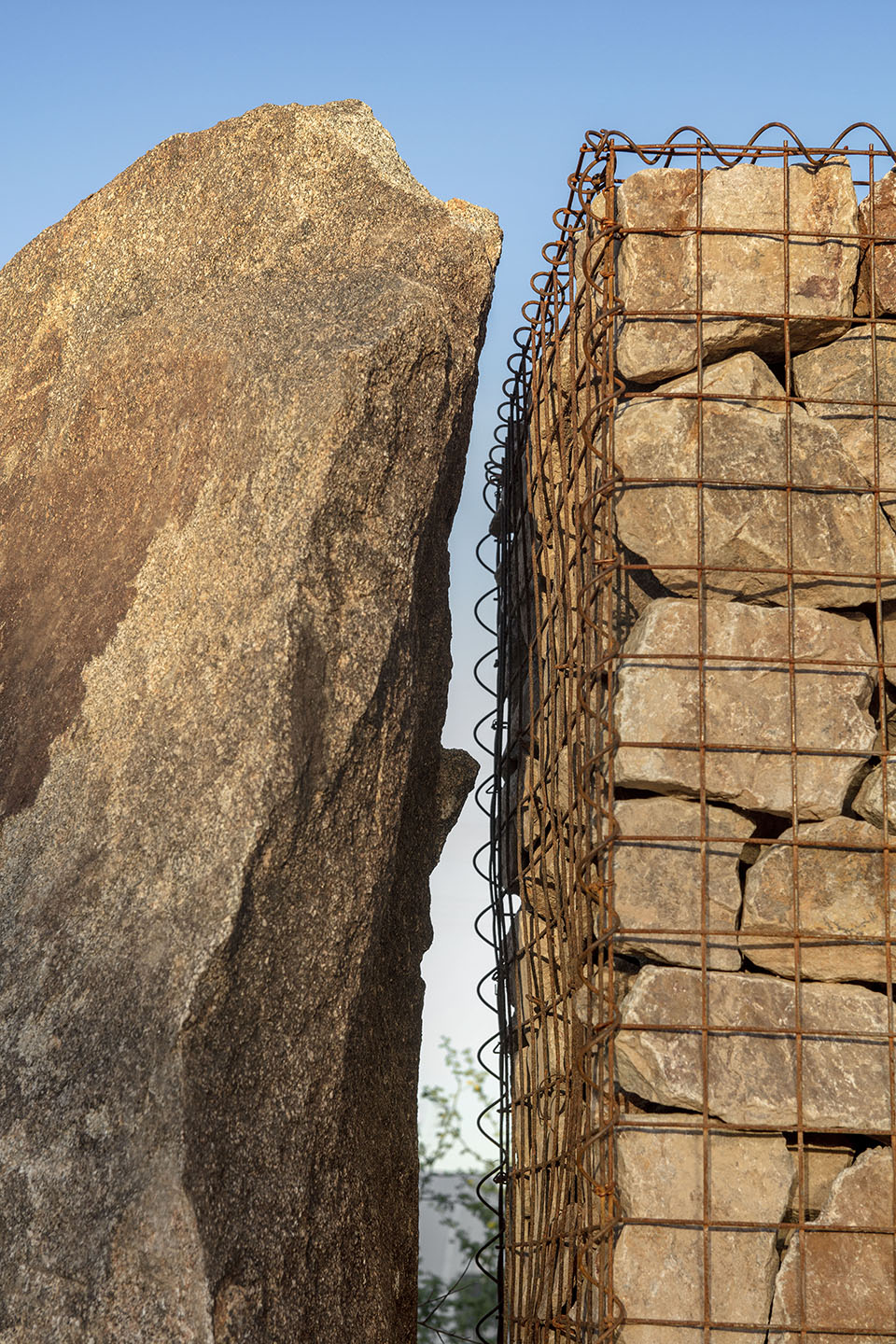 沙漠植物园一期丨美国-83