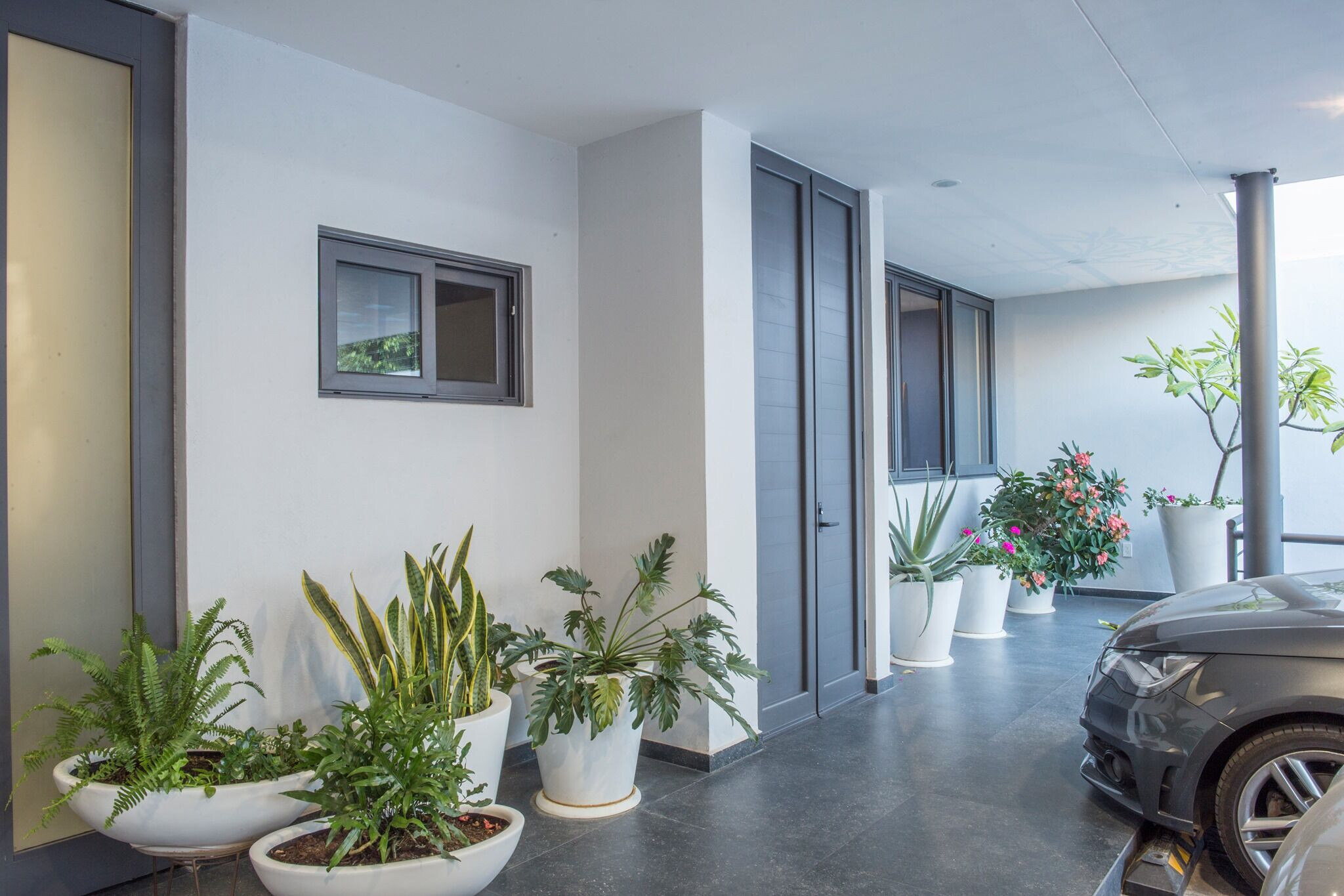 《蓝兰花之家》-20