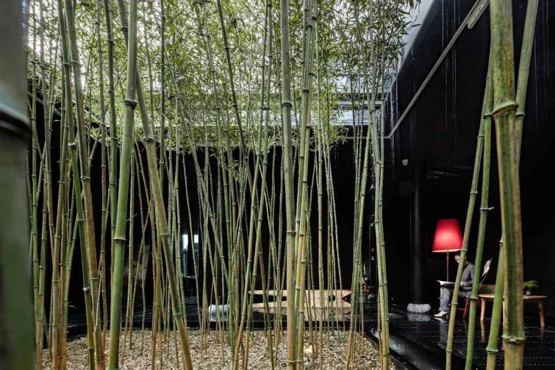 黄山愿景酒店 | 墨瓦白墙的静谧之美-57