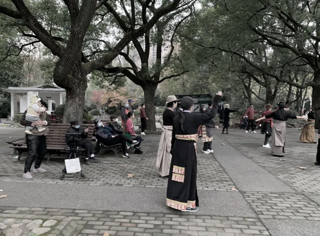 中国园林·理事专栏|“拓”之力量：杨浦公园改造纪实(三)-48