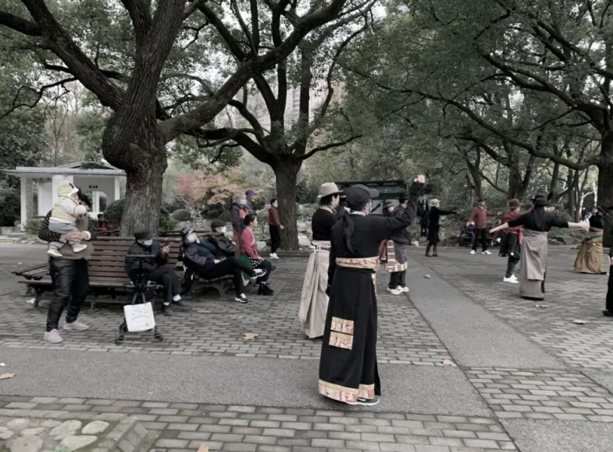 中国园林·理事专栏|“拓”之力量:杨浦公园改造纪实(三)-48