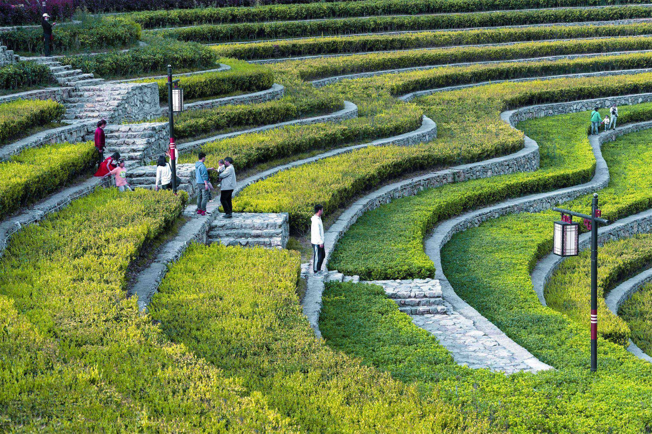 大地指纹 – 奢香古镇古彝梯田丨中国贵州-48